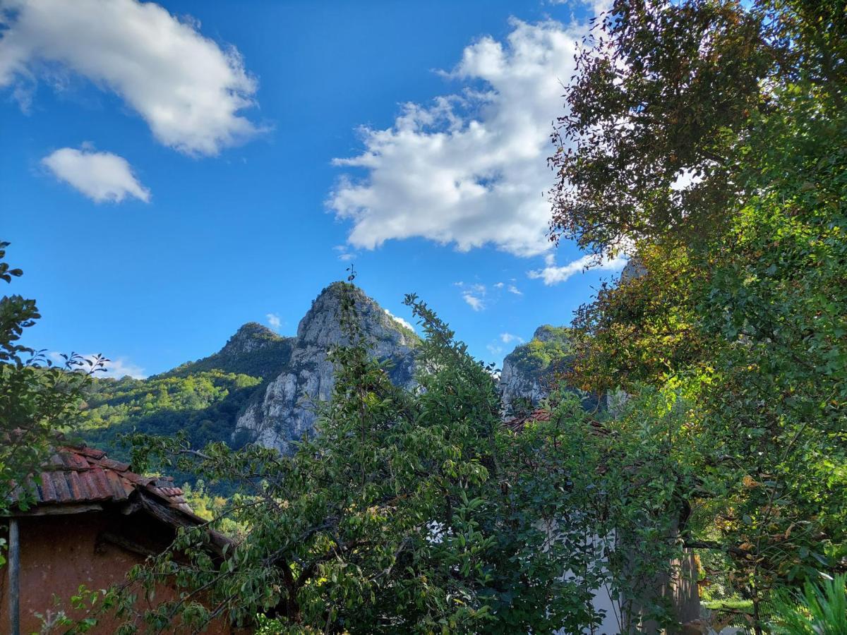 Golemi Kamik Pirot Villa ภายนอก รูปภาพ