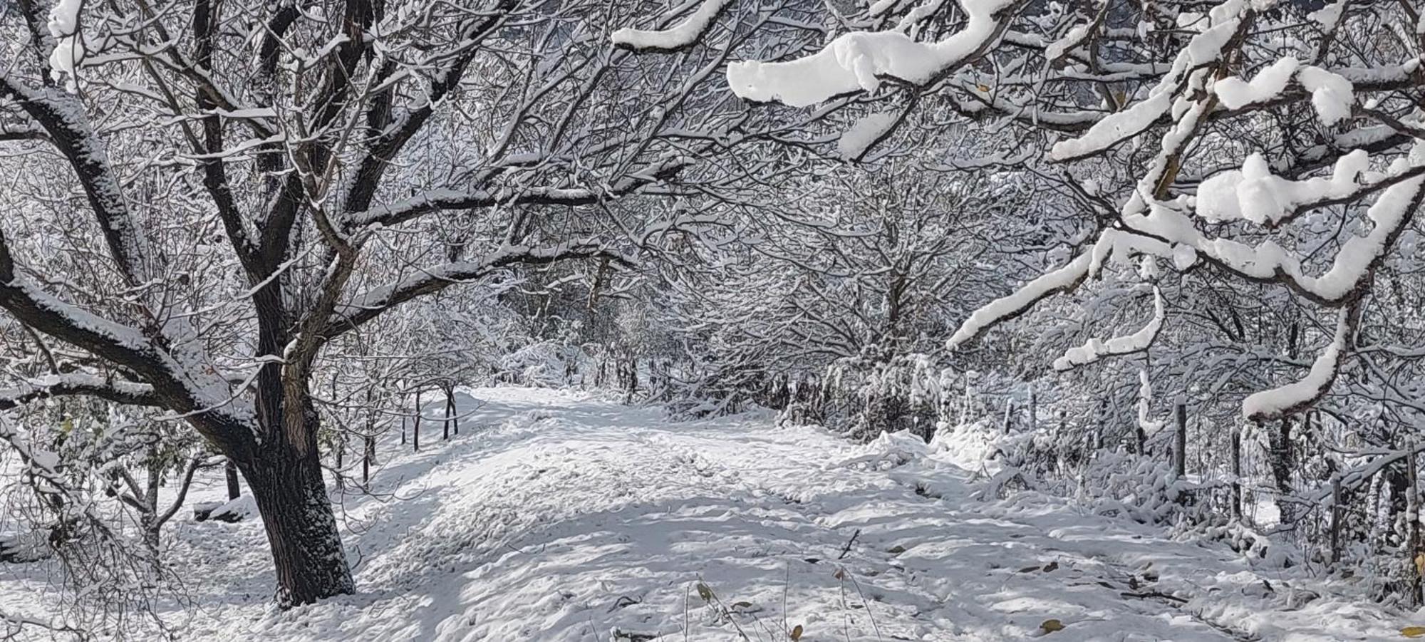 Golemi Kamik Pirot Villa ภายนอก รูปภาพ