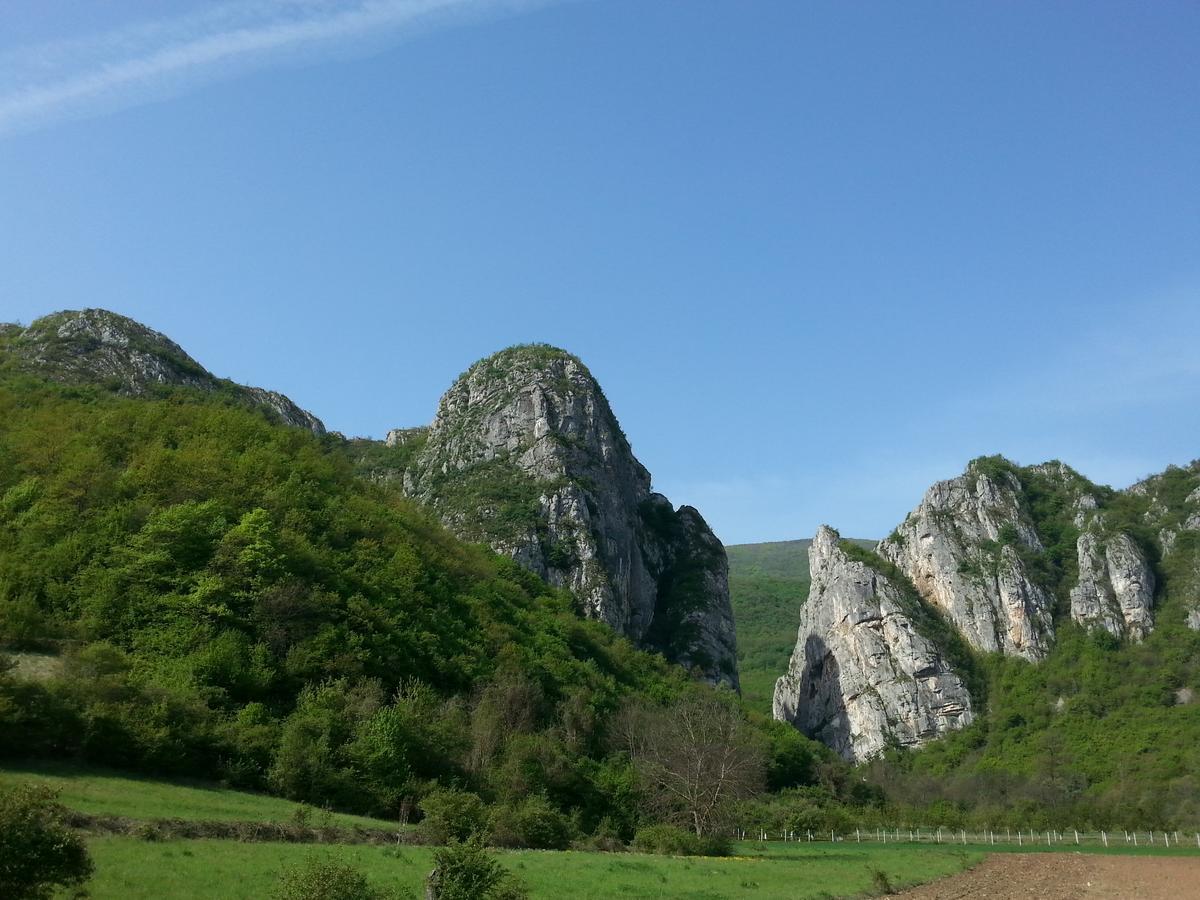 Golemi Kamik Pirot Villa ภายนอก รูปภาพ