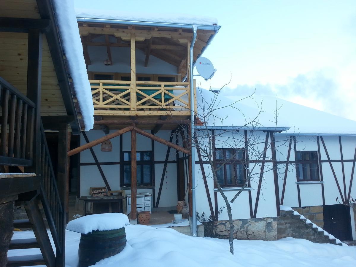 Golemi Kamik Pirot Villa ภายนอก รูปภาพ