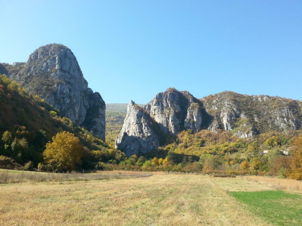 Golemi Kamik Pirot Villa ภายนอก รูปภาพ