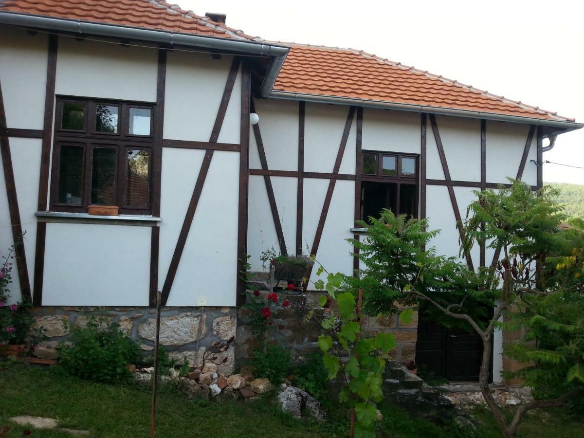 Golemi Kamik Pirot Villa ภายนอก รูปภาพ